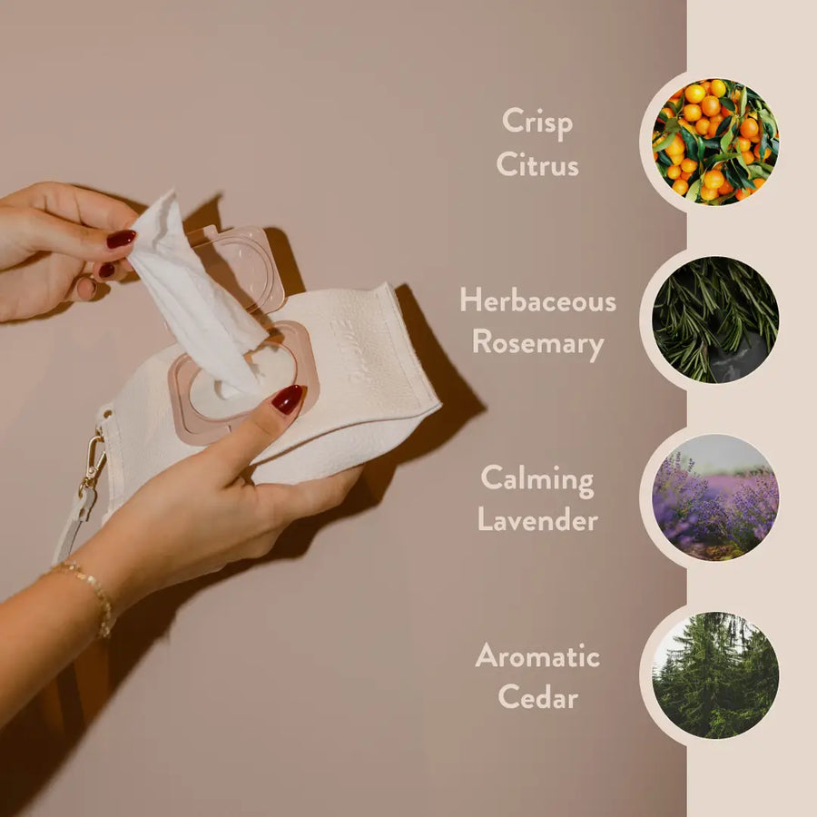 Cleansing Hand & Body Wipes