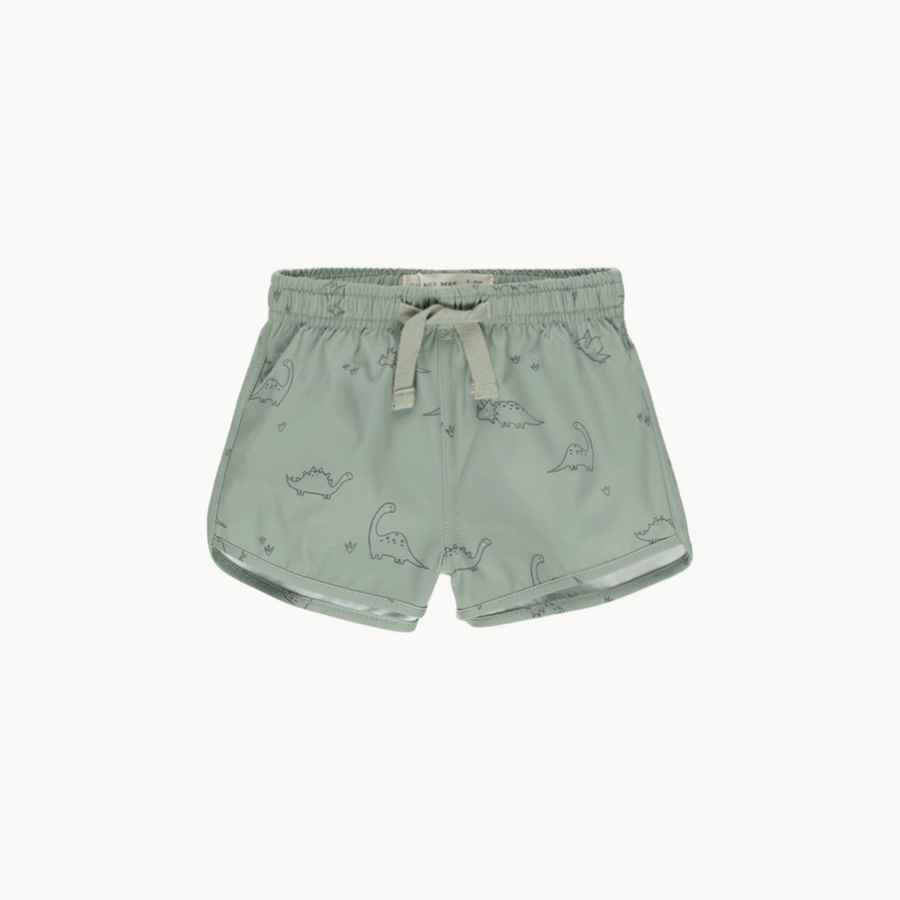 Boys Swim Short Dino