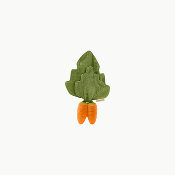 Mini Dou Dou Teether Carrot