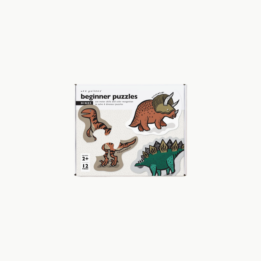 Beginner Puzzle Dino