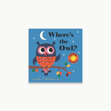 Where’s The Owl Flap Book