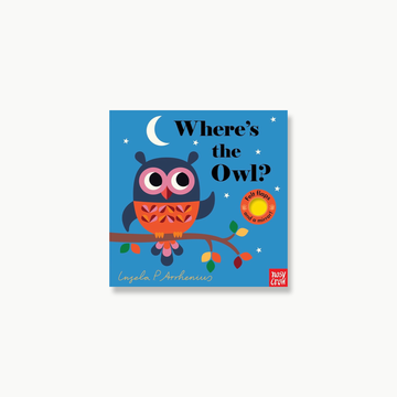 Where's The Owl Board Book