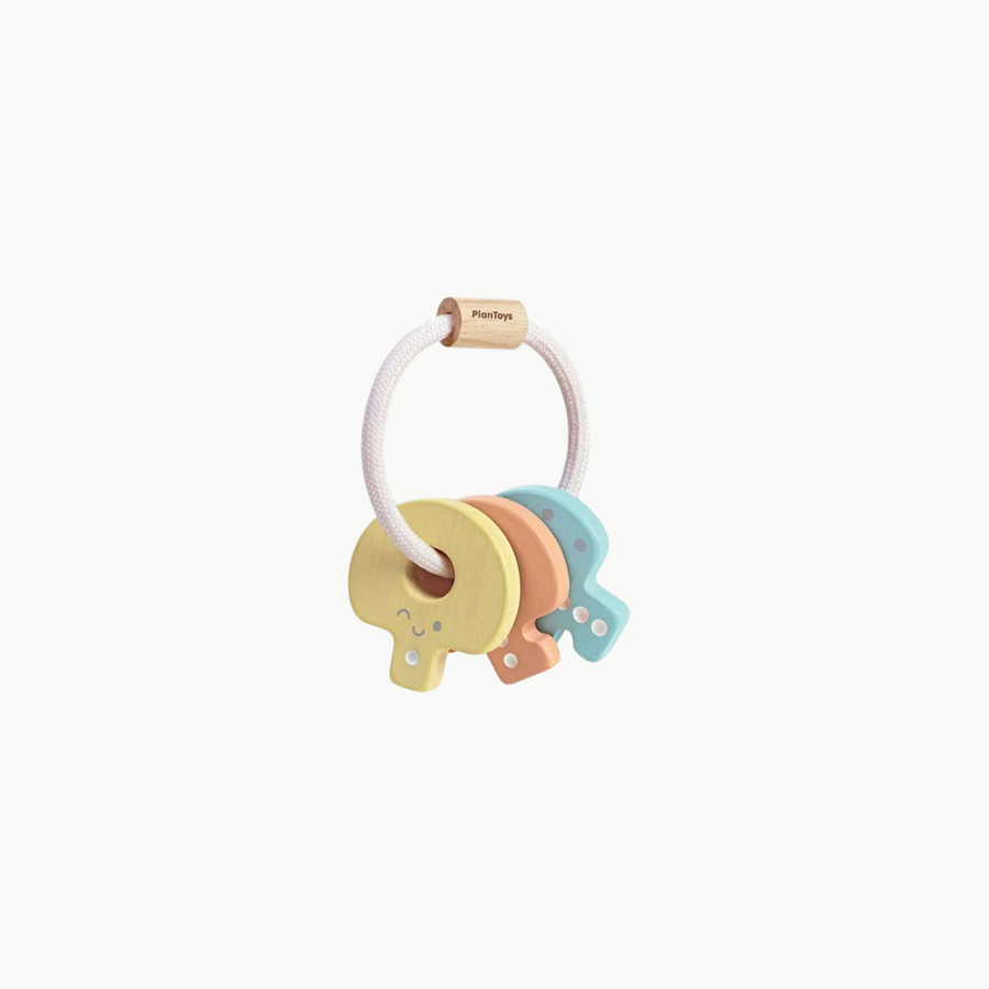 Baby Key Rattle Pastel